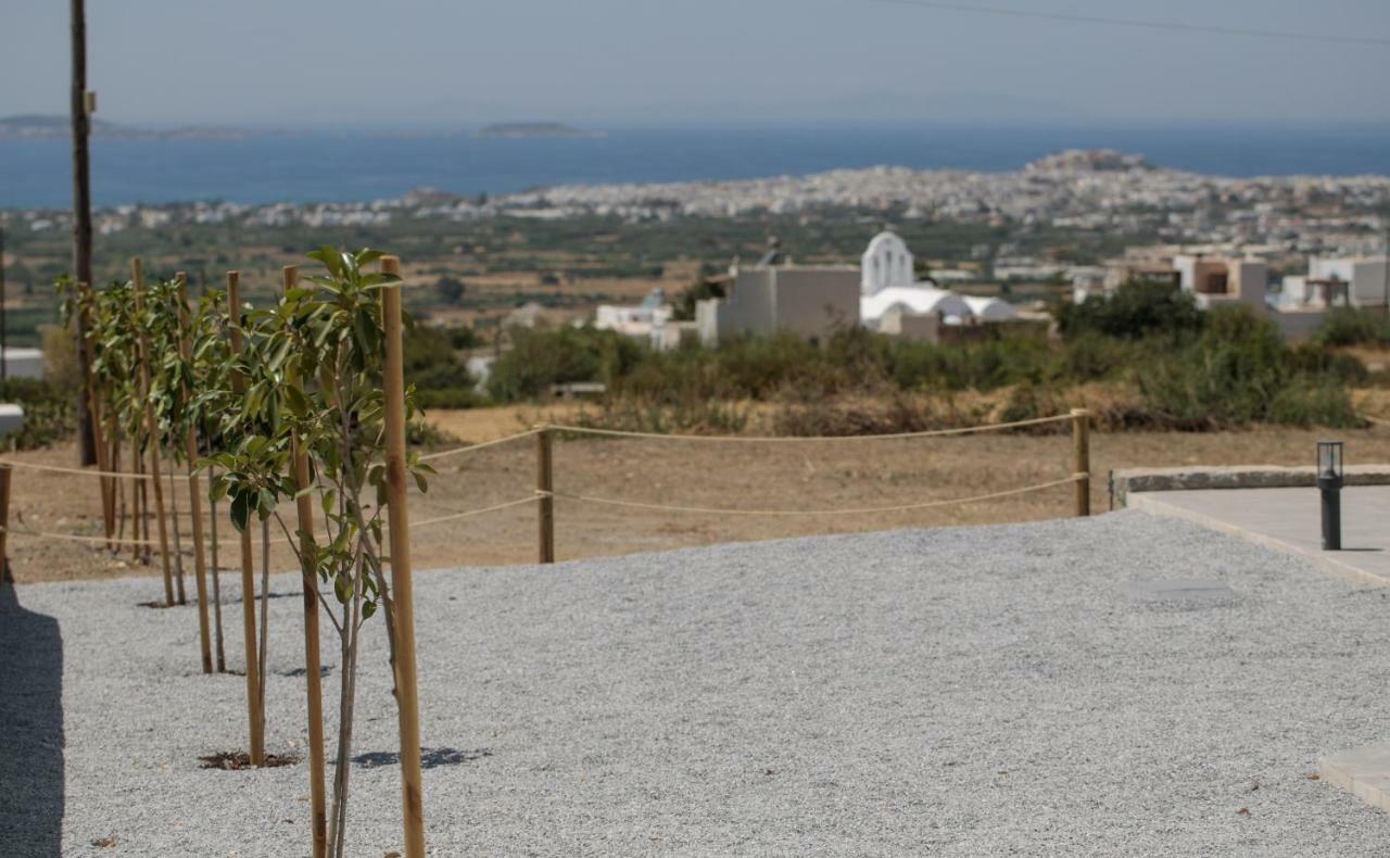 Naxos Infinity Villa&Suites Galanado Exterior foto